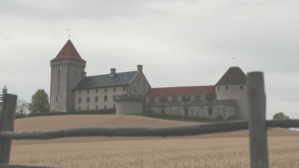 Jakie są przykłady użycia słów _wierze_ i _wieże_ w zdaniach?
