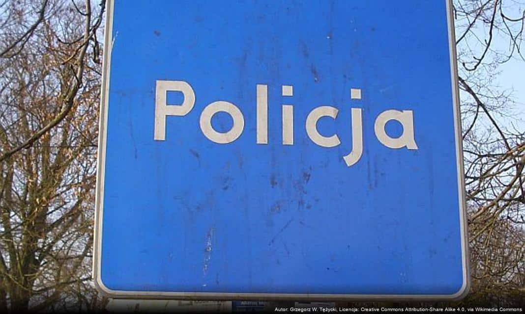 Bezpieczeństwo na drogach – interwencje policji w Iławie