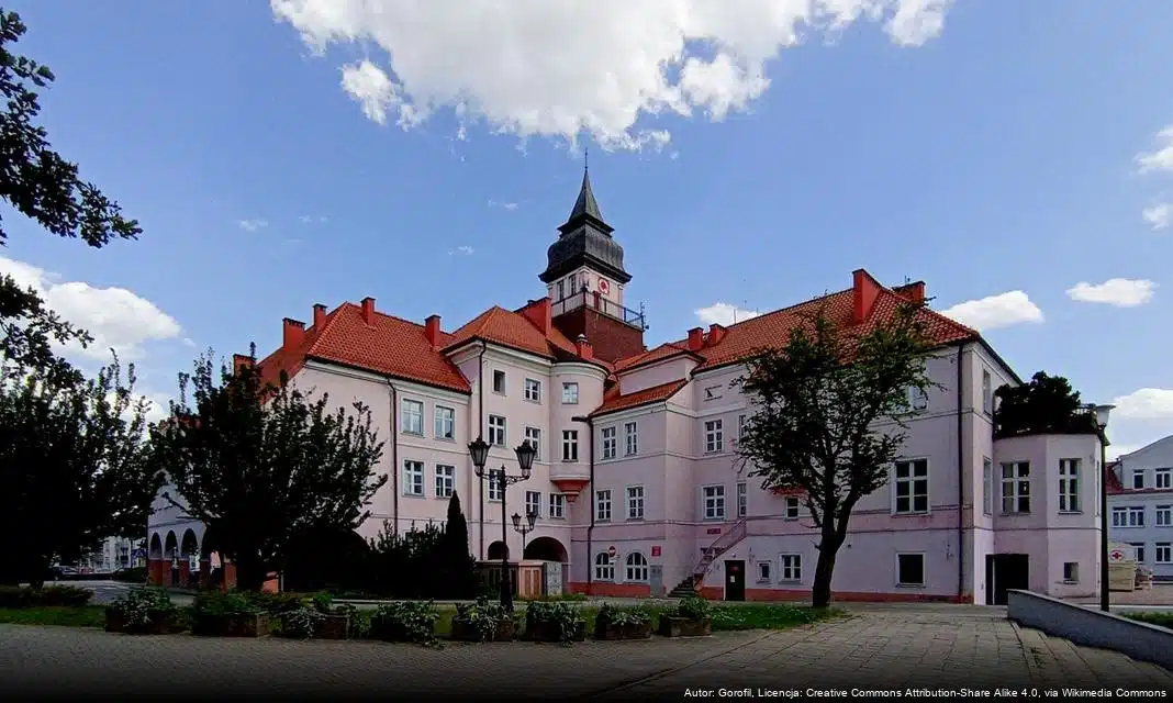 Bezpłatne wsparcie dla przedsiębiorców w Iławie w ramach projektu „Instytut Dostępności”